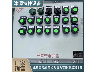粉尘防爆控制箱